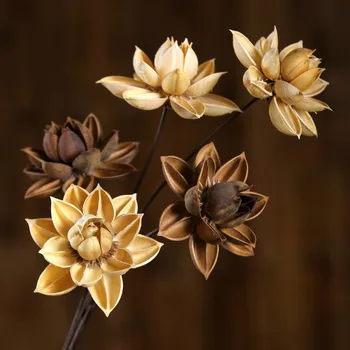 1pcs 55cm de Flores Secas Naturais Lotus Casa de Decoração de Casamento, Decoração de Festa Floral Decorativo Flor Ramo de Peças do Centro